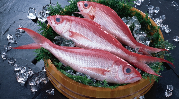 Ruby Snapper(Onaga)
