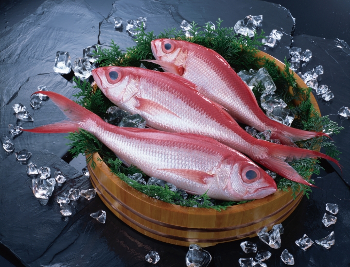 Ruby Snapper(Onaga)